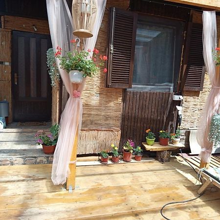 Appartamento Kucica Za Odmor Lena I Matija Sremski Karlovci Esterno foto